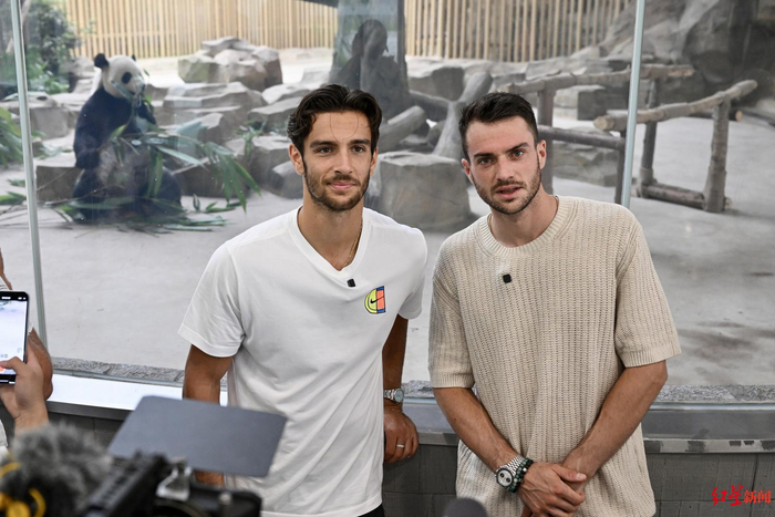 范戴克并未 范戴克并未