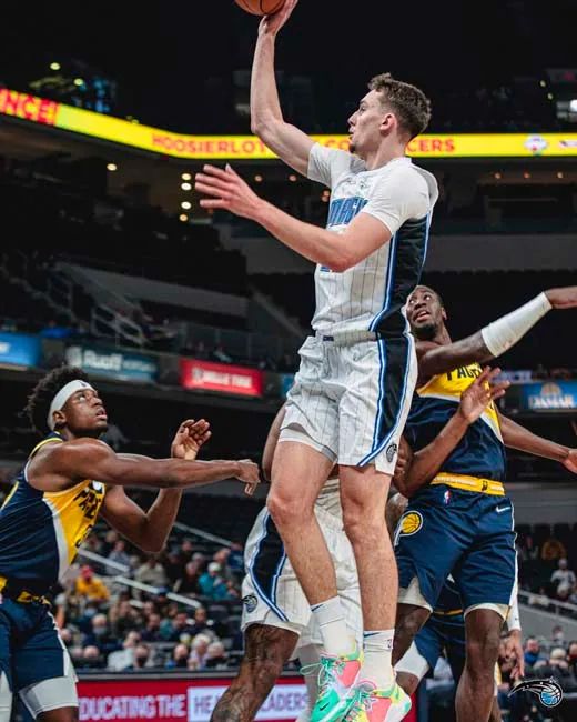 结论要点 结论要点