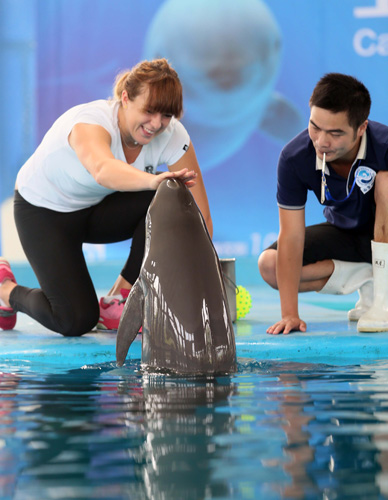 榜的长期排 榜的长期排